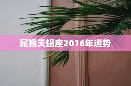 属猴天蝎座2016年运势