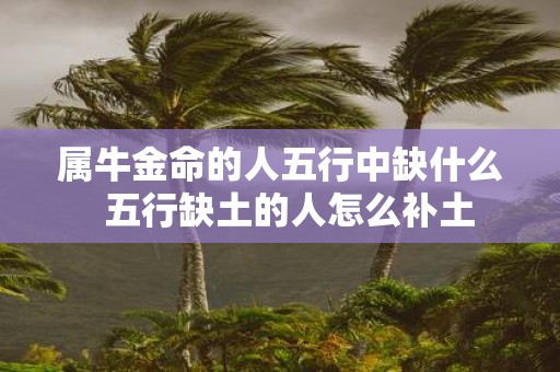 属牛金命的人五行中缺什么 五行缺土的人怎么补土