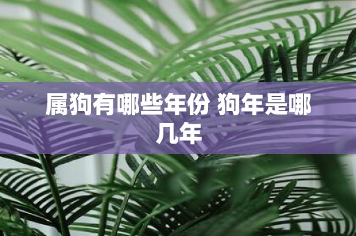属狗有哪些年份 狗年是哪几年