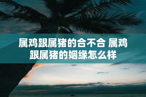 属鸡跟属猪的合不合 属鸡跟属猪的姻缘怎么样