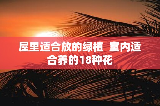 屋里适合放的绿植 室内适合养的18种花