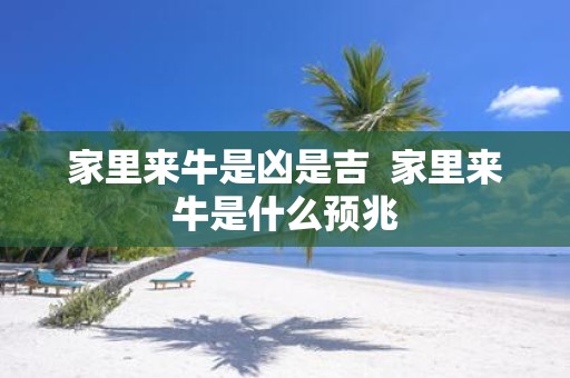 家里来牛是凶是吉 家里来牛是什么预兆
