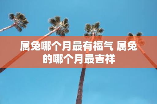 属兔哪个月最有福气 属兔的哪个月最吉祥