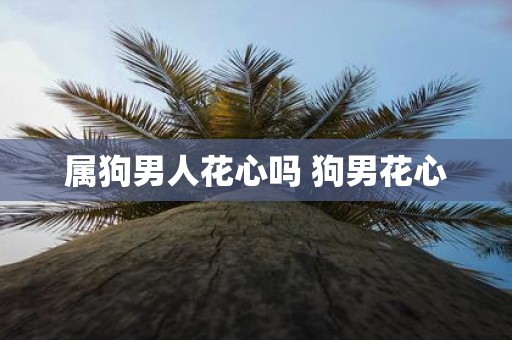属狗男人花心吗 狗男花心