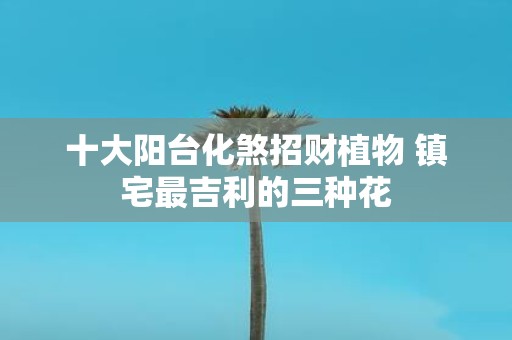 十大阳台化煞招财植物 镇宅最吉利的三种花
