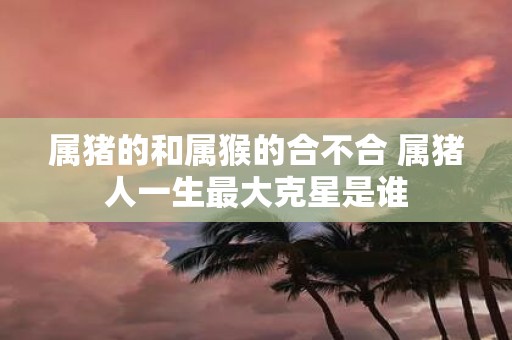属猪的和属猴的合不合 属猪人一生最大克星是谁