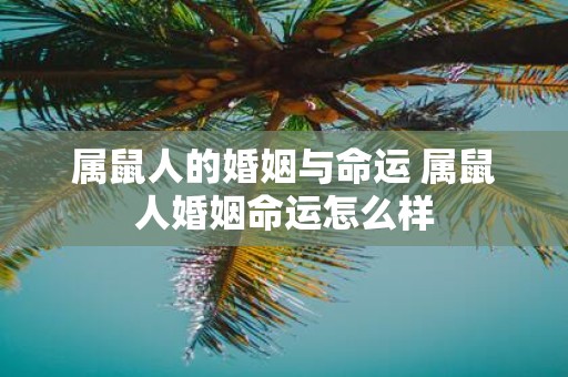属鼠人的婚姻与命运 属鼠人婚姻命运怎么样
