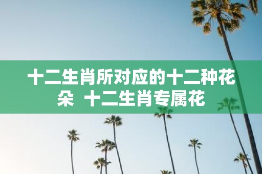 十二生肖所对应的十二种花朵 十二生肖专属花