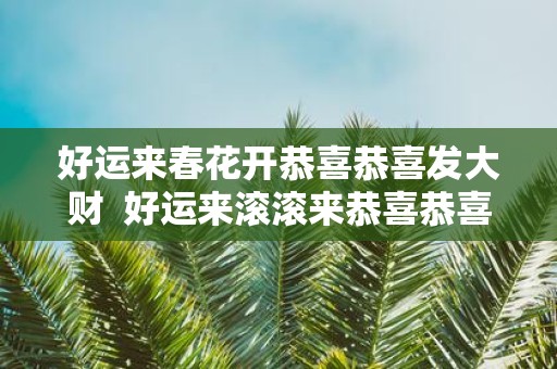 好运来春花开恭喜恭喜发大财 好运来滚滚来恭喜恭喜发大财