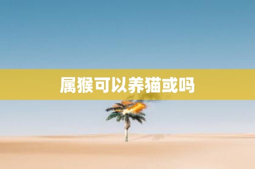 属猴可以养猫或吗