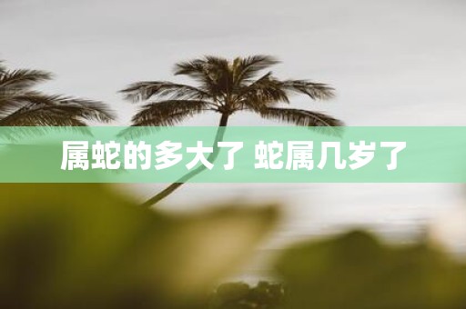 属蛇的多大了 蛇属几岁了