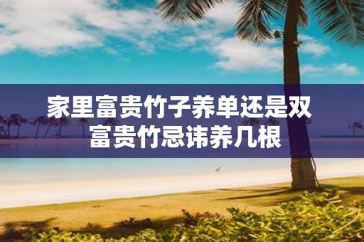 家里富贵竹子养单还是双 富贵竹忌讳养几根