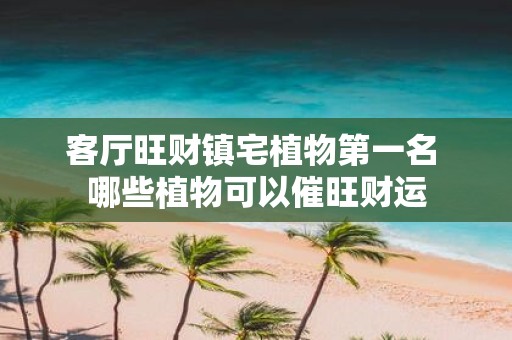 客厅旺财镇宅植物第一名 哪些植物可以催旺财运