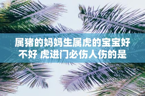 属猪的妈妈生属虎的宝宝好不好 虎进门必伤人伤的是谁