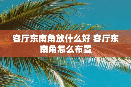 客厅东南角放什么好 客厅东南角怎么布置