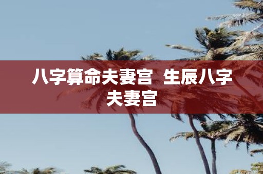 八字算命夫妻宫 生辰八字夫妻宫