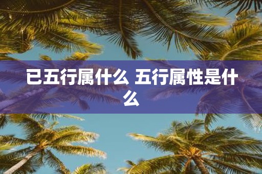 已五行属什么 五行属性是什么