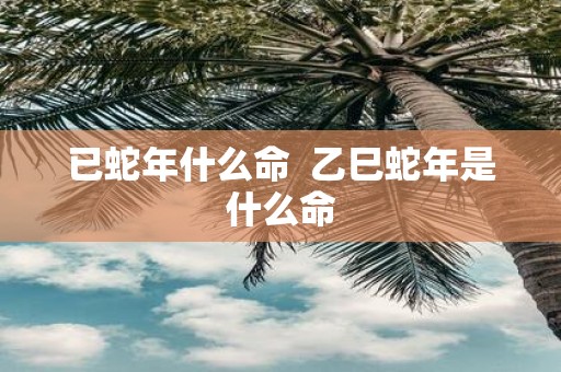 已蛇年什么命 乙巳蛇年是什么命