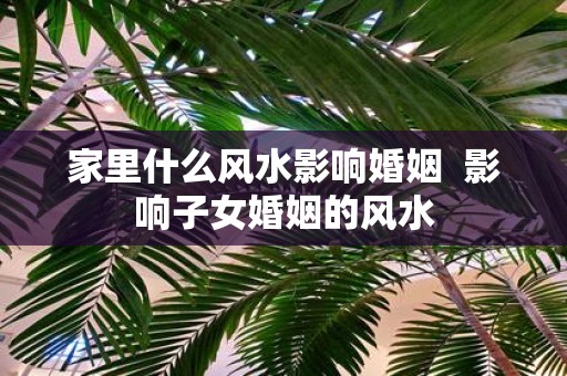 家里什么风水影响婚姻 影响子女婚姻的风水