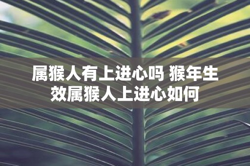属猴人有上进心吗 猴年生效属猴人上进心如何