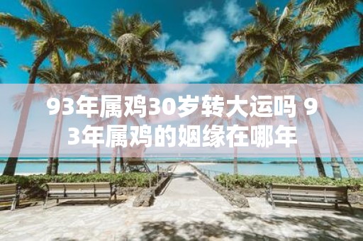 93年属鸡30岁转大运吗 93年属鸡的姻缘在哪年