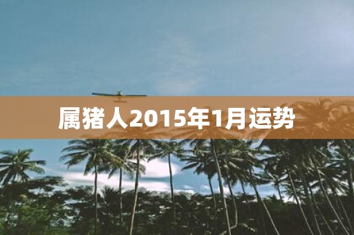 属猪人2015年1月运势