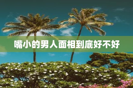 嘴小的男人面相到底好不好