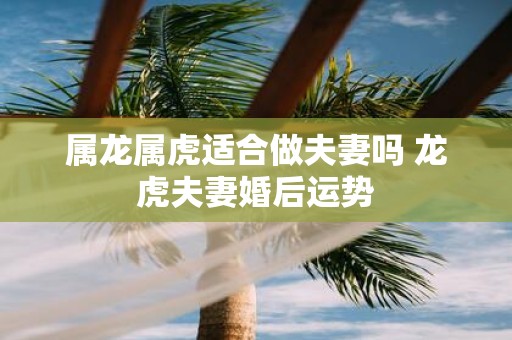属龙属虎适合做夫妻吗 龙虎夫妻婚后运势