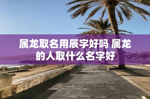 属龙取名用辰字好吗 属龙的人取什么名字好