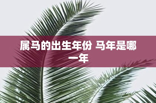 属马的出生年份 马年是哪一年