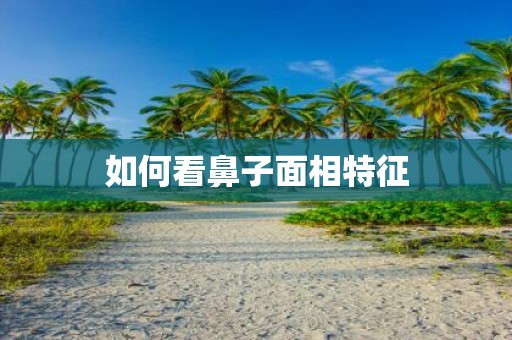 如何看鼻子面相特征