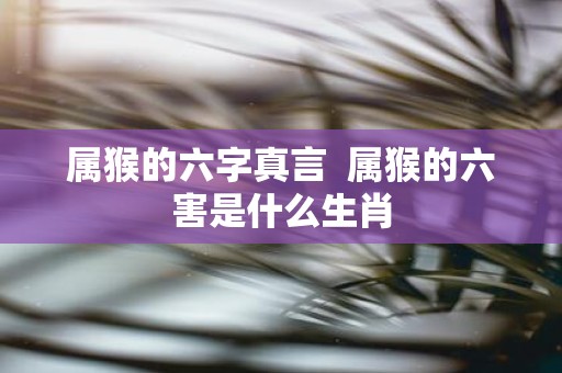 属猴的六字真言 属猴的六害是什么生肖