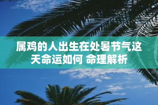 属鸡的人出生在处暑节气这天命运如何 命理解析