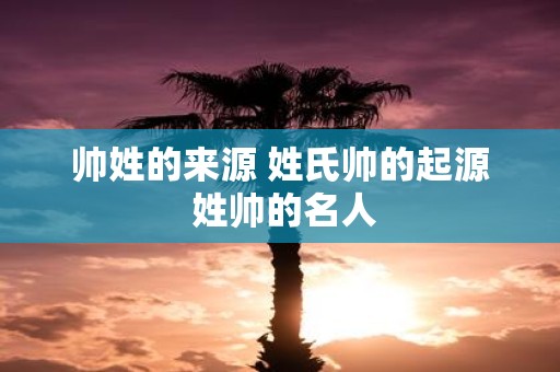 帅姓的来源 姓氏帅的起源 姓帅的名人