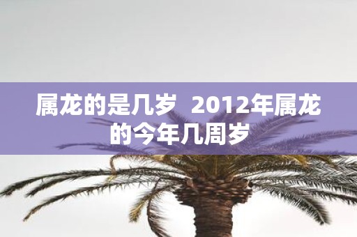 属龙的是几岁 2012年属龙的今年几周岁
