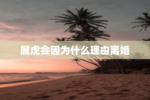 属虎会因为什么理由离婚
