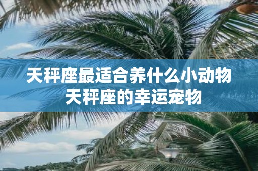 天秤座最适合养什么小动物 天秤座的幸运宠物