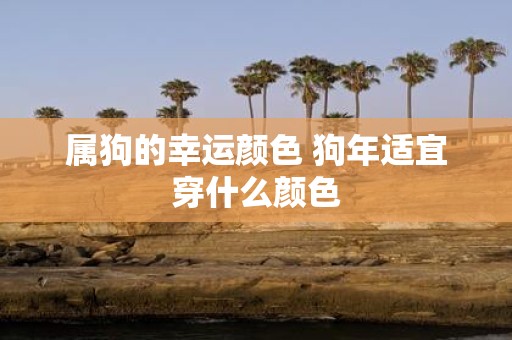 属狗的幸运颜色 狗年适宜穿什么颜色
