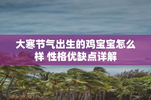 大寒节气出生的鸡宝宝怎么样 性格优缺点详解