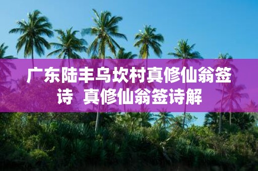 广东陆丰乌坎村真修仙翁签诗 真修仙翁签诗解