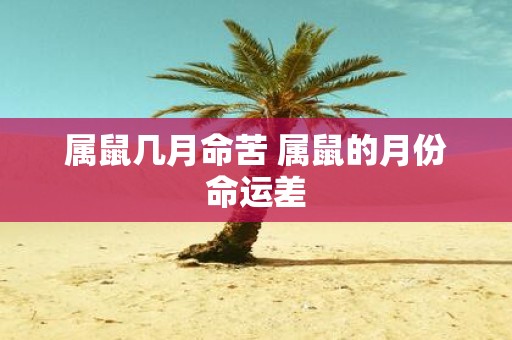 属鼠几月命苦 属鼠的月份命运差