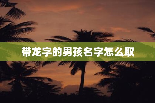 带龙字的男孩名字怎么取
