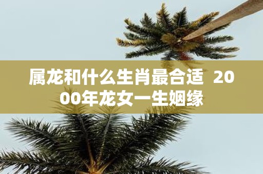 属龙和什么生肖最合适 2000年龙女一生姻缘