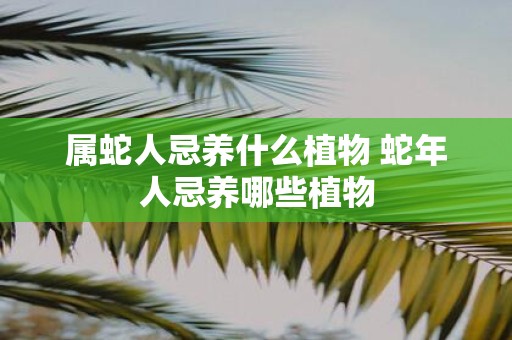 属蛇人忌养什么植物 蛇年人忌养哪些植物
