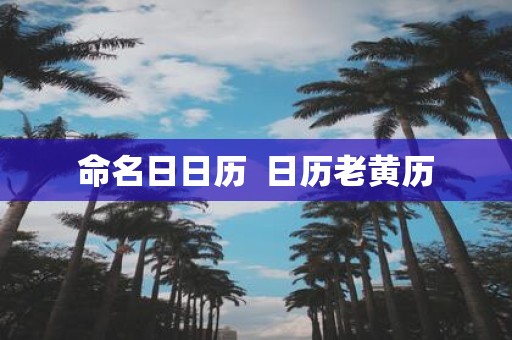 命名日日历 日历老黄历