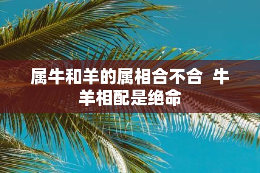 属牛和羊的属相合不合 牛羊相配是绝命