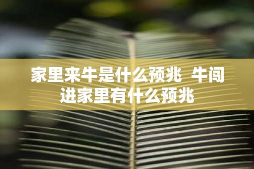 家里来牛是什么预兆 牛闯进家里有什么预兆