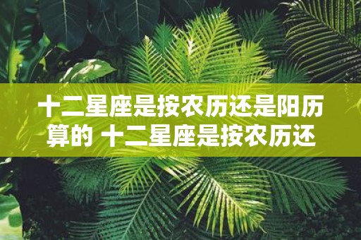 十二星座是按农历还是阳历算的 十二星座是按农历还是阳历算的
