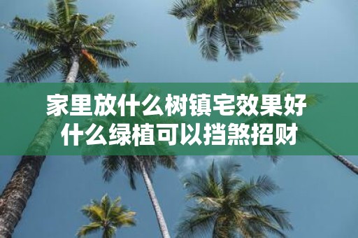 家里放什么树镇宅效果好 什么绿植可以挡煞招财