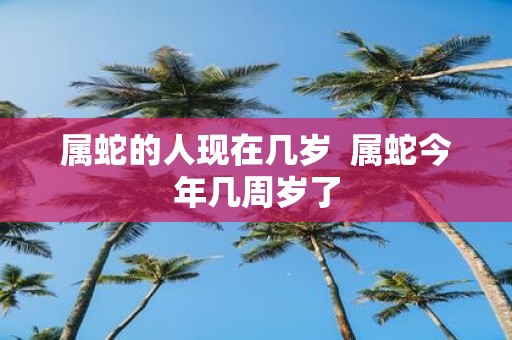 属蛇的人现在几岁 属蛇今年几周岁了